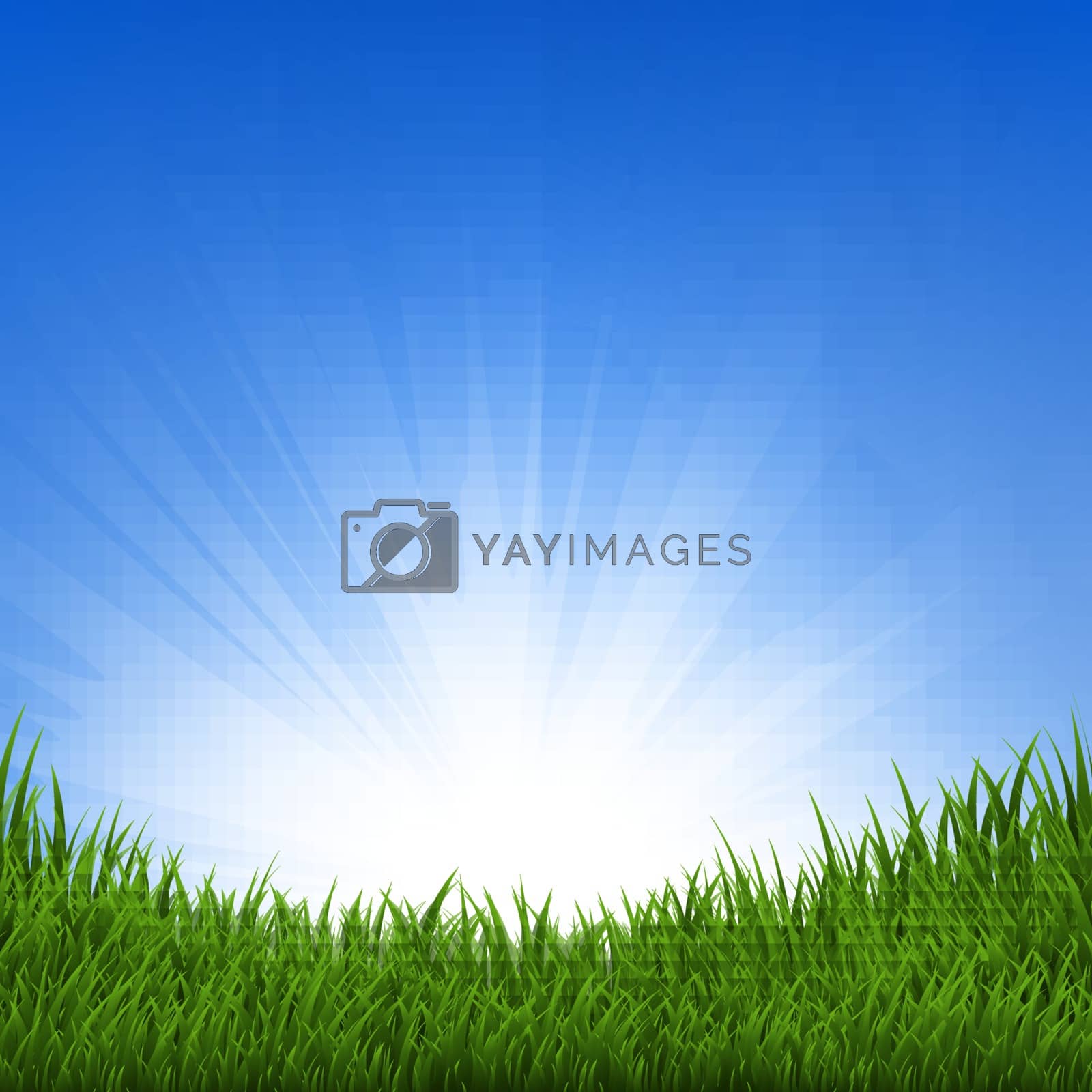 Royalty free image of Grass And Sunbeam by barbaliss