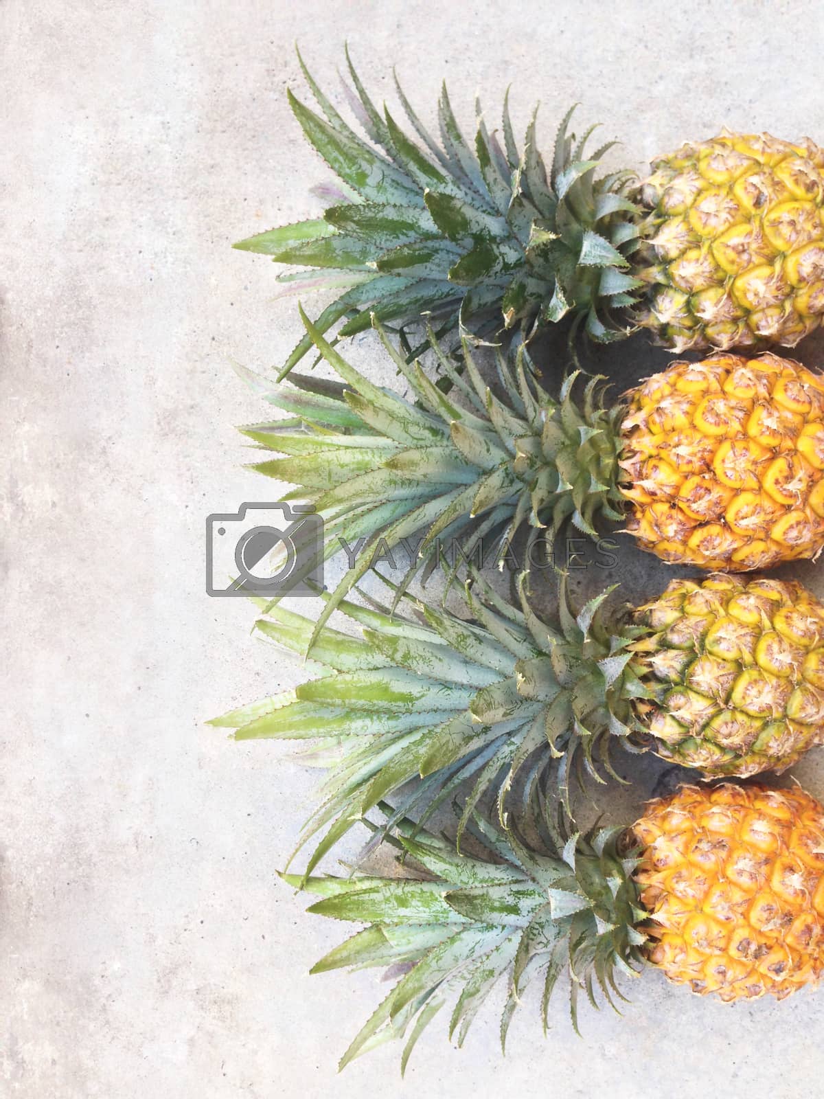 Royalty free image of Pineapple isolated on cement floor by Bowonpat
