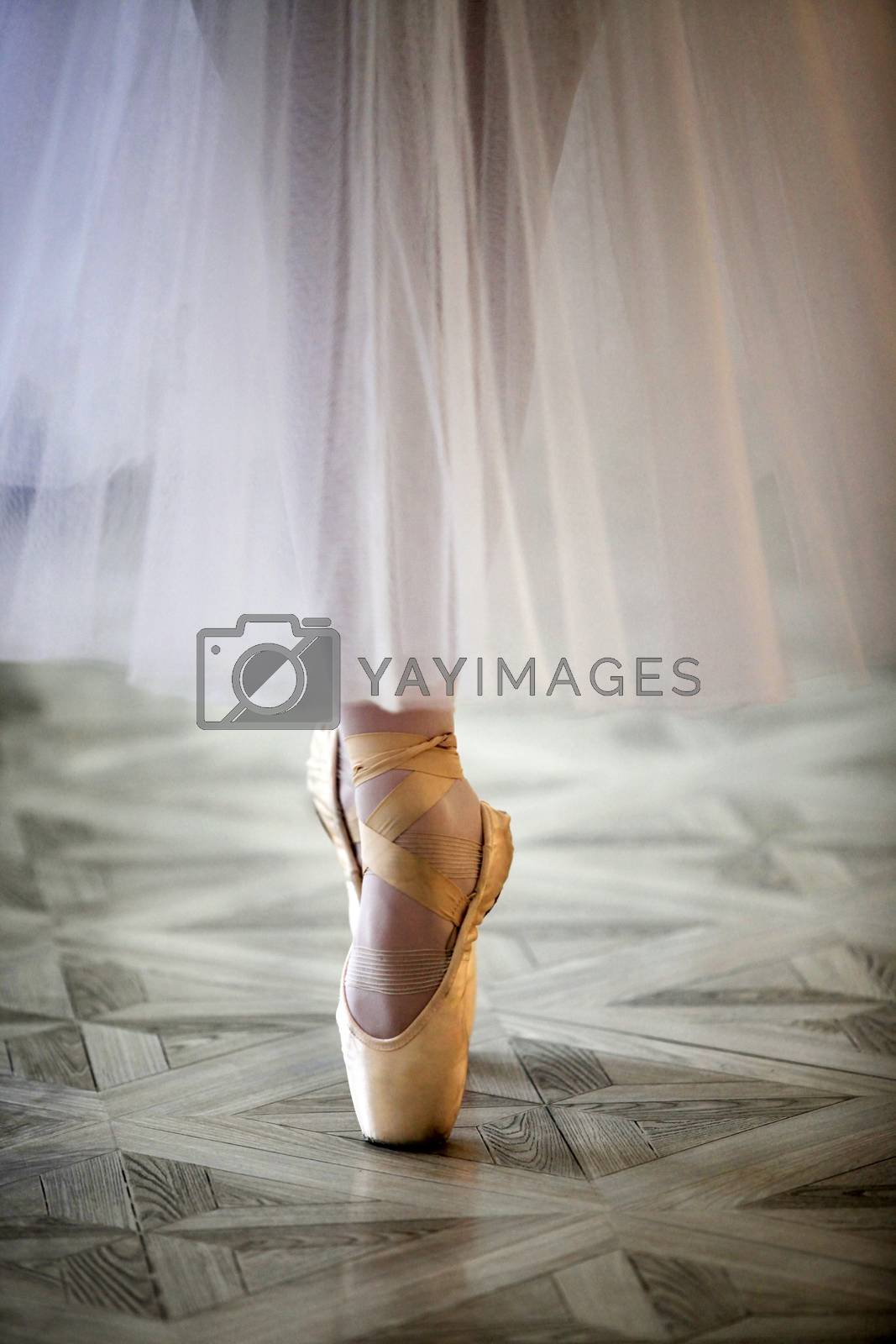 Royalty free image of Beautiful legs of dancer in pointe by friday