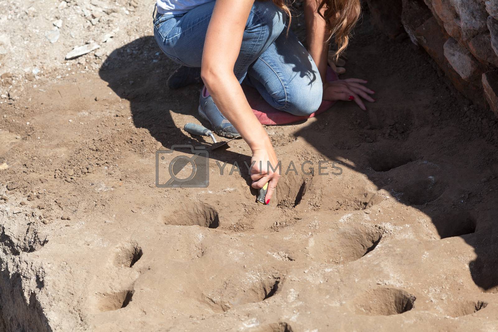 Royalty free image of Archaeology. Archaeologist working at archaeological site. by wellphoto