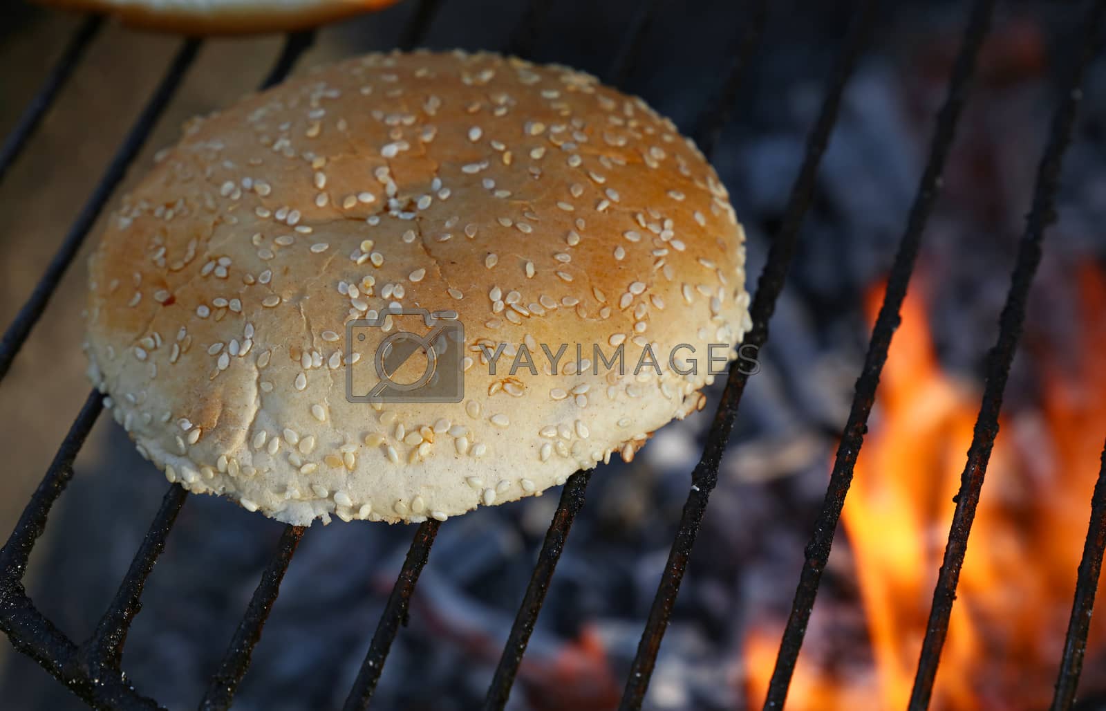 Royalty free image of Close up sesame bun for burger on bbq fire grill by BreakingTheWalls
