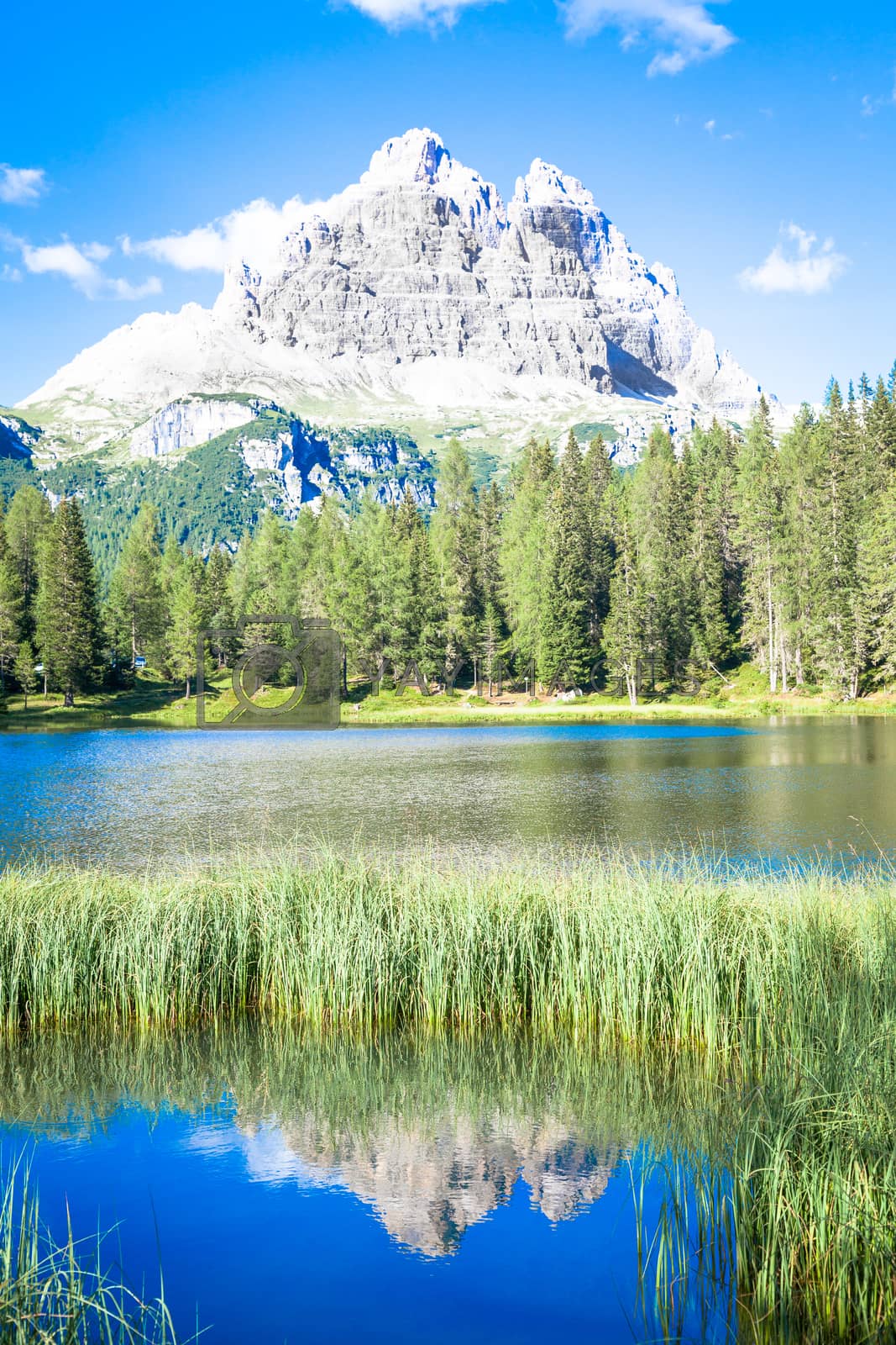 Royalty free image of Mountain landscape of Dolomiti Region, Italy. by Perseomedusa