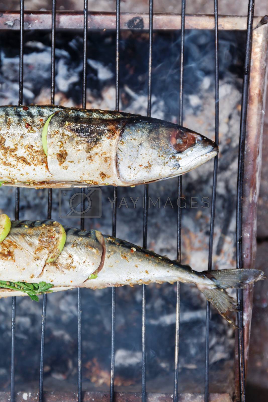 Royalty free image of Grilled fish with spices on fire close up. Grilling fish  dorado by Tanacha