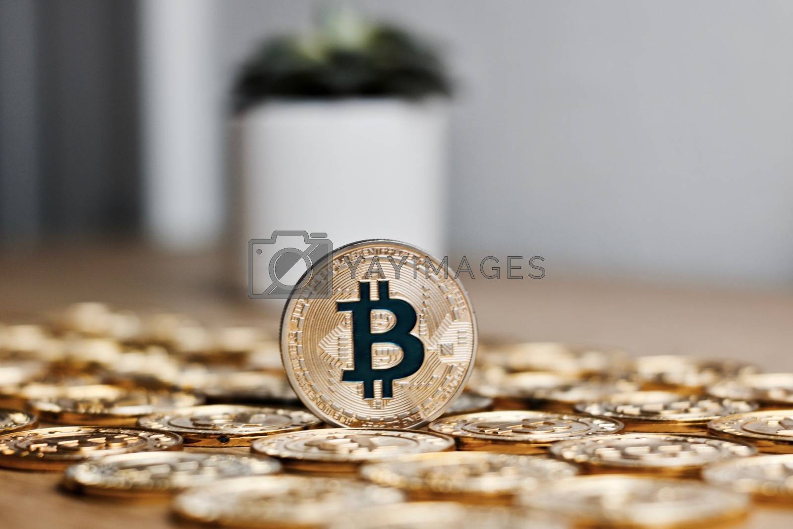 Royalty free image of Bitcoin coin cryptocurrency by adriantoday
