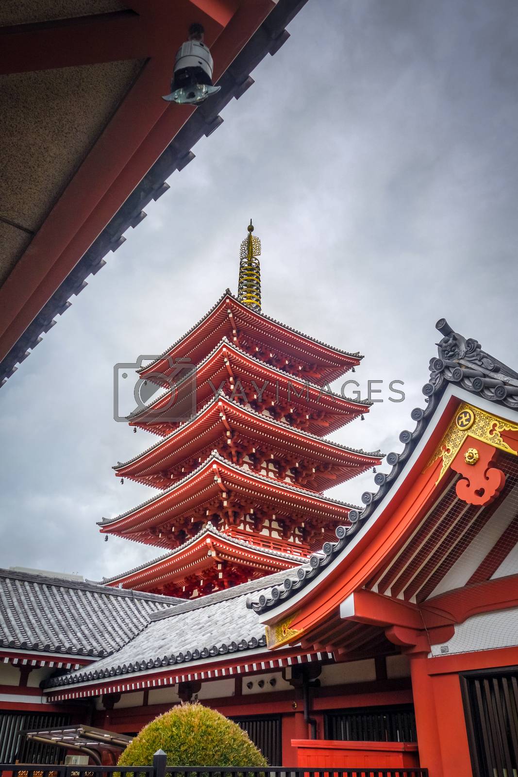 Royalty free image of Pagoda in Senso-ji temple, Tokyo, Japan by daboost
