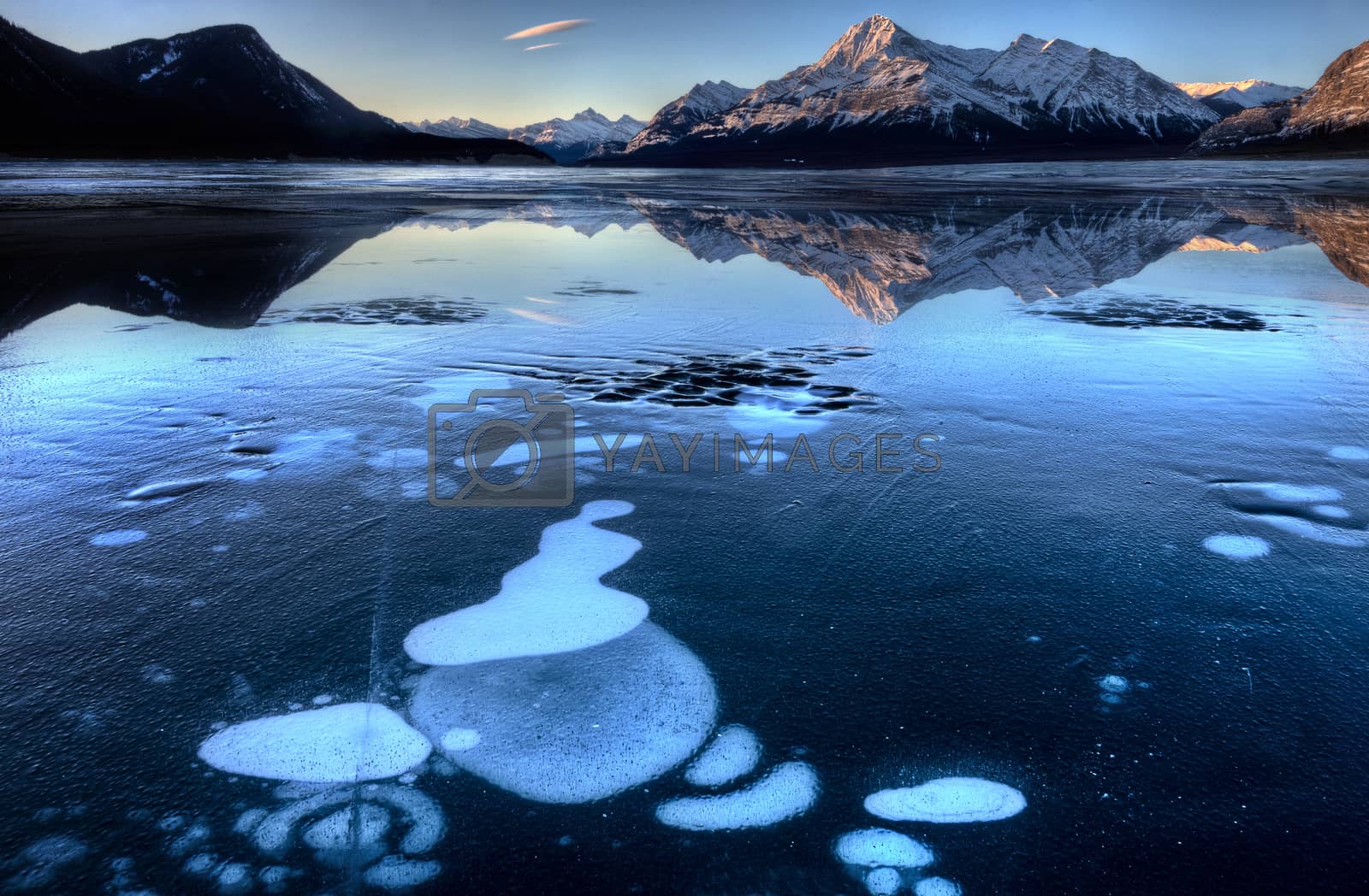 Royalty free image of Abraham Lake in Winter by pictureguy