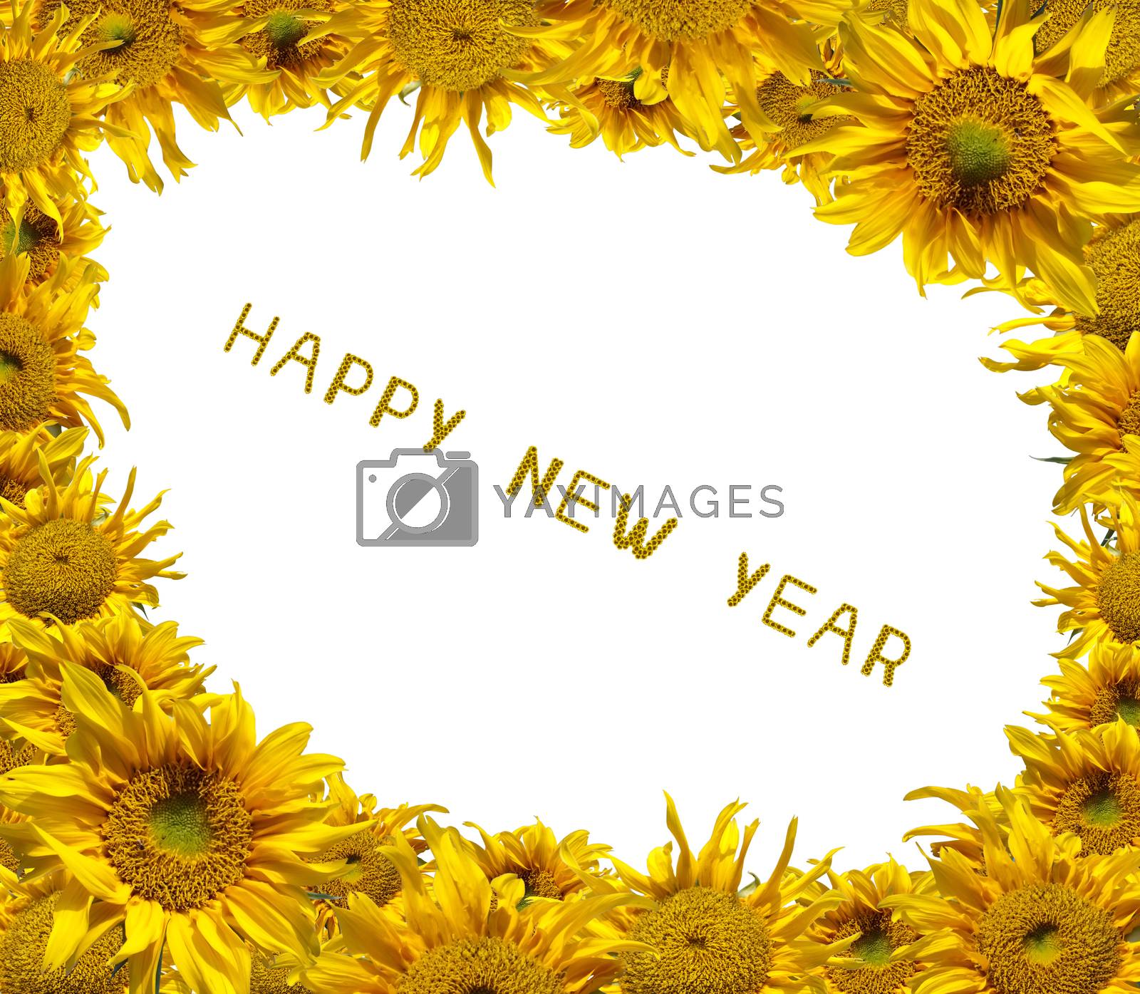 Royalty free image of Sunflowers Happy New Year by Exsodus