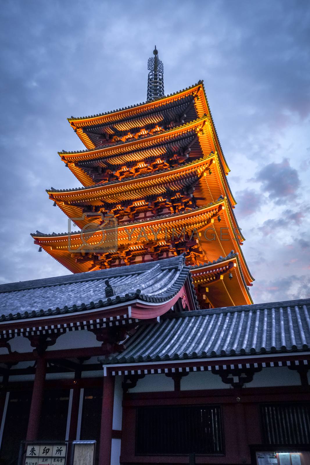 Royalty free image of Pagoda at sunset in Senso-ji temple, Tokyo, Japan by daboost