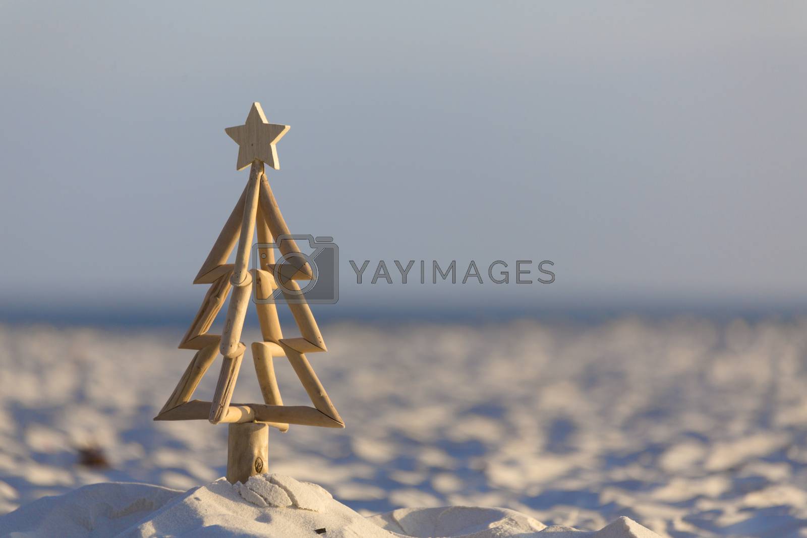 Royalty free image of Christmas Tree on the Beach early morning light by lovleah