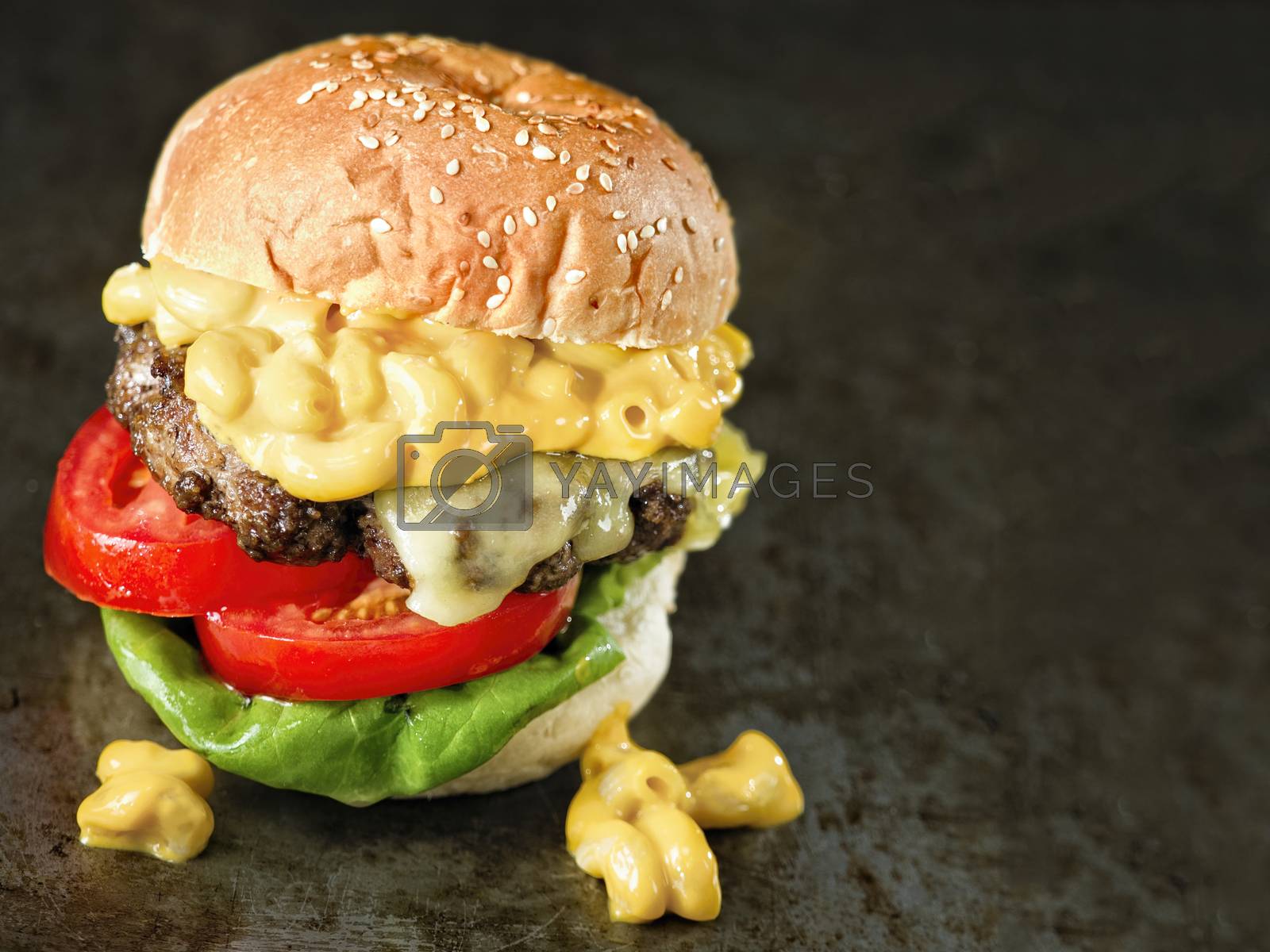 Royalty free image of rustic american mac and cheese hamburger by zkruger