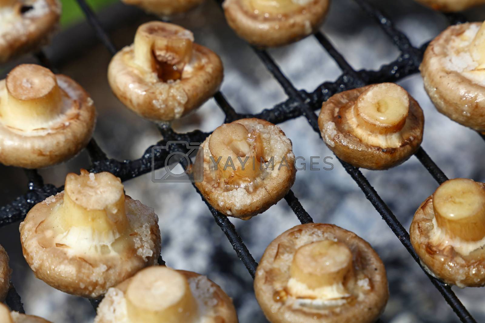 Royalty free image of White champignons mushrooms on grill by BreakingTheWalls