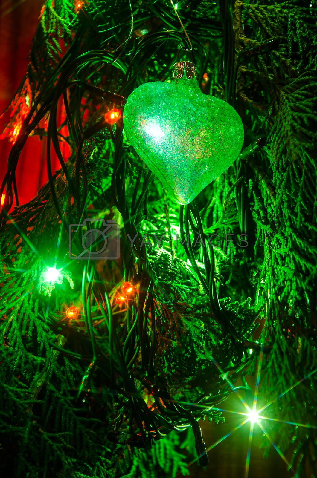 Royalty free image of Christmas lights are a classic symbol. by noskaphoto
