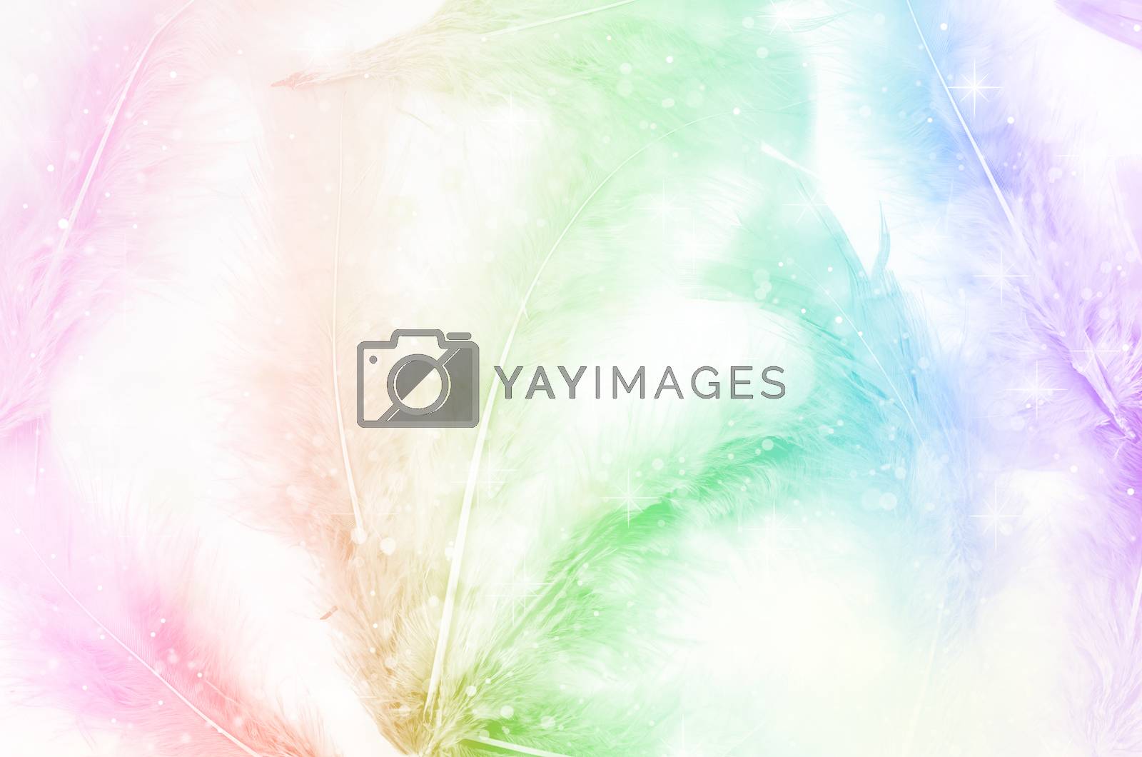 Royalty free image of feather abstract as background. by Gamjai