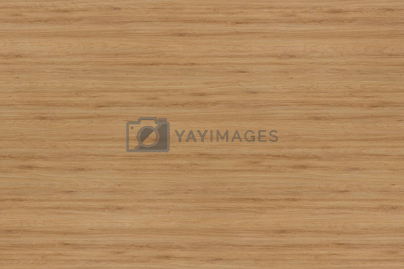 Royalty free image of Grunge wood pattern texture background, wooden background texture. by ivo_13