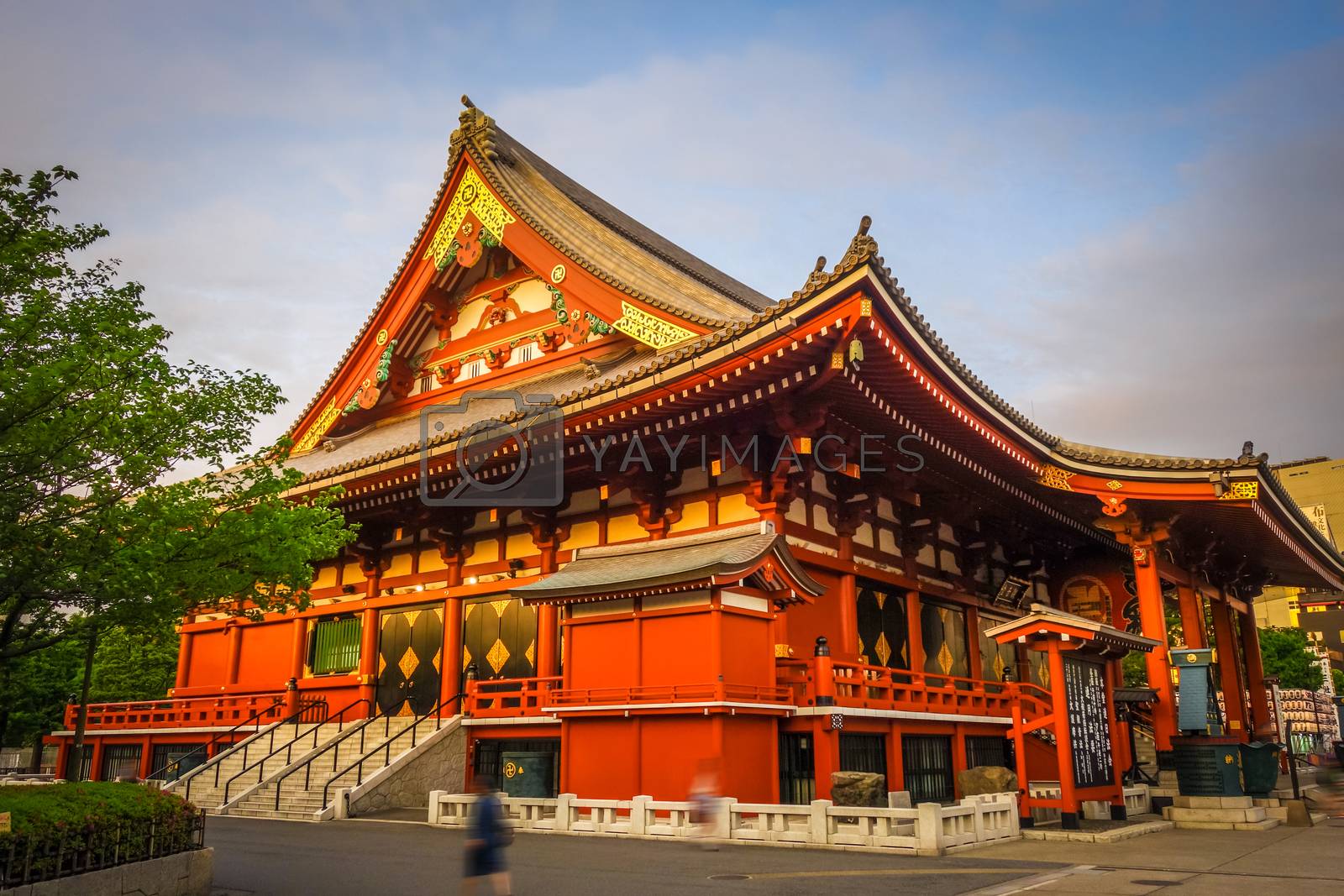 Royalty free image of Senso-ji temple Hondo at sunset, Tokyo, Japan by daboost