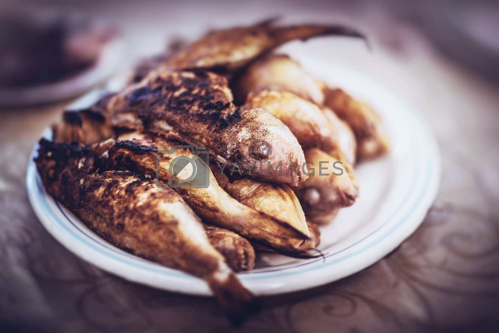 Royalty free image of Tasty grilled fishes by Anna_Omelchenko