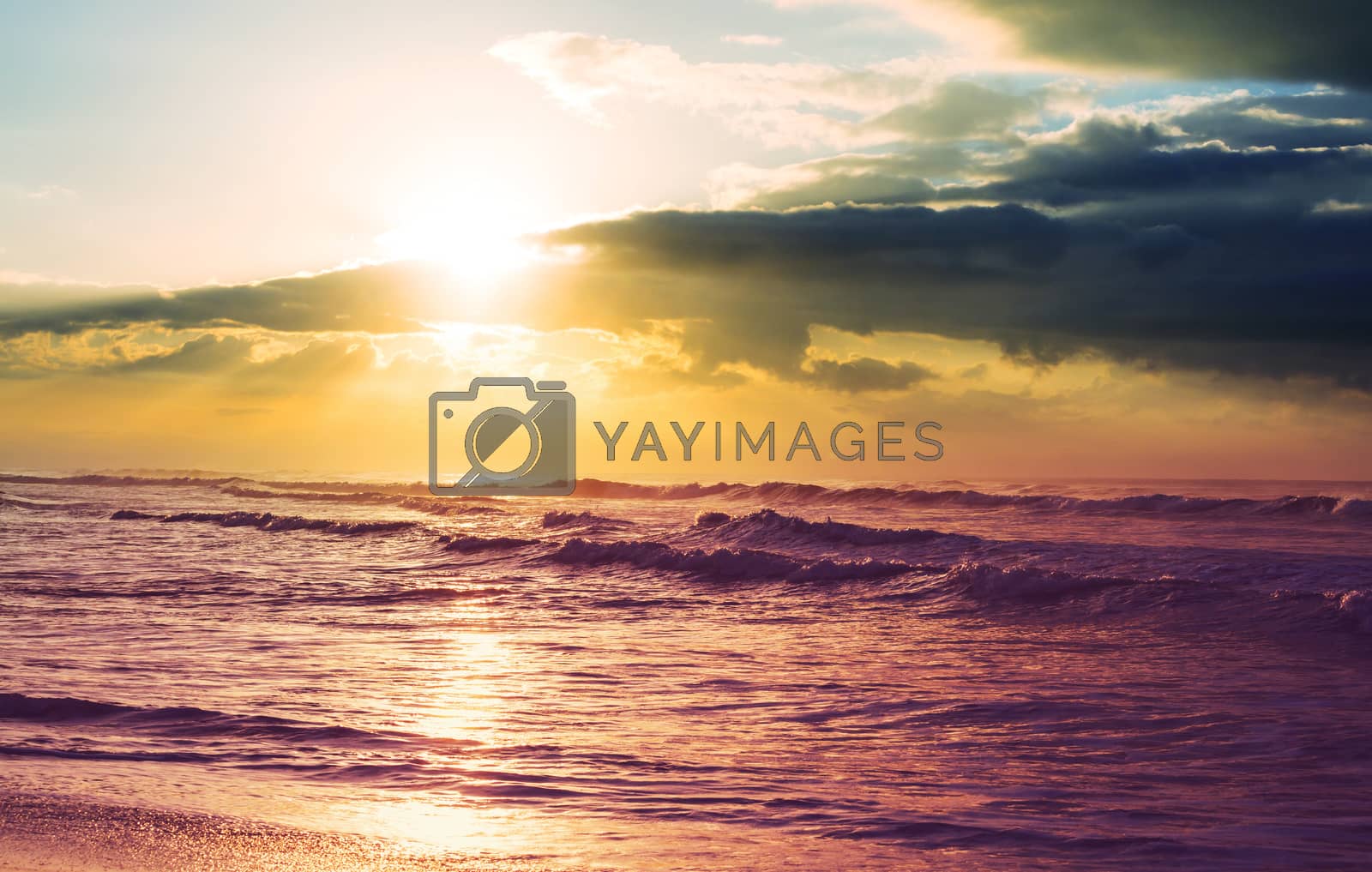 Royalty free image of Sea sunset by kamchatka
