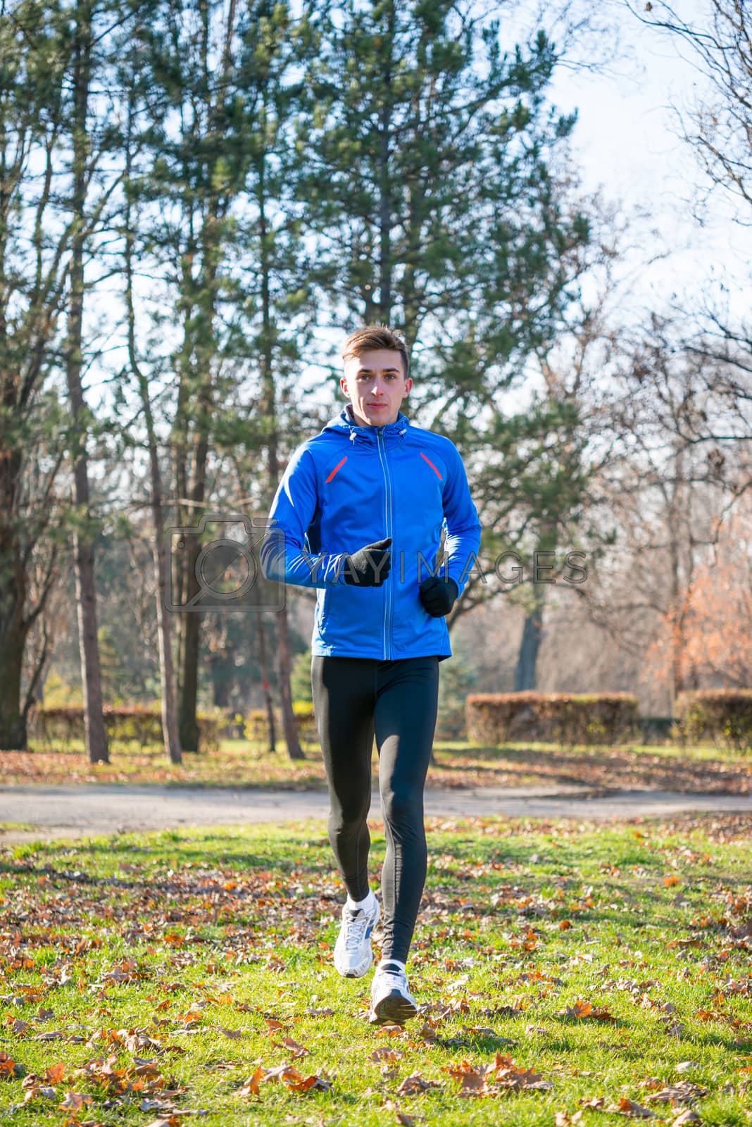 Royalty free image of Young Sports Man Running in the Park in Cold Sunny Autumn Morning. Healthy Lifestyle and Sport Concept. by maxpro
