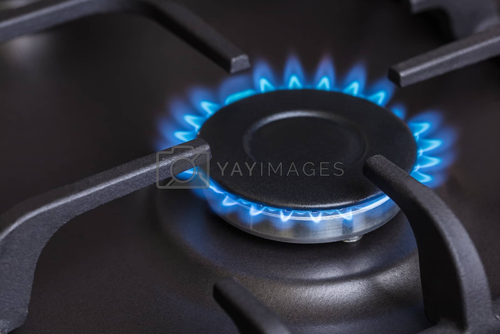 Royalty free image of kitchen gas stove burning burner  by MegaArt