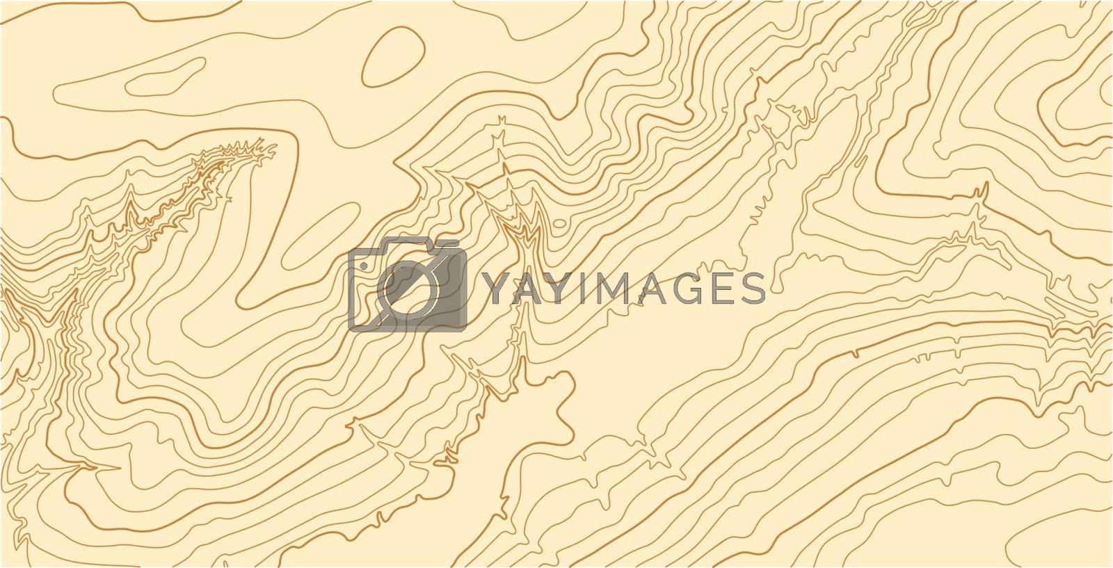 Royalty free image of Abstract vector topographic map in brown colors by igor_stramyk