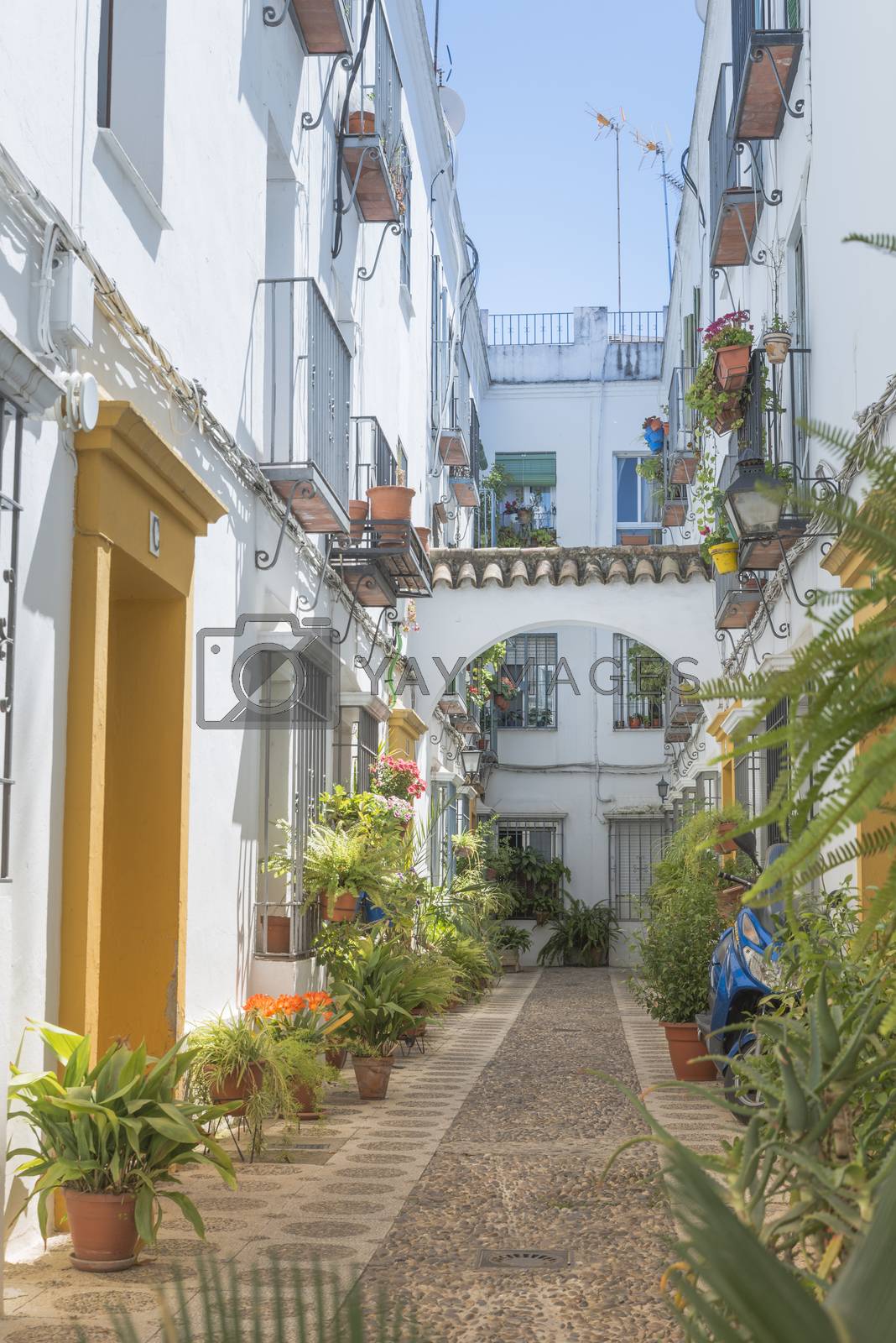 Royalty free image of small spanish street with flowers  by compuinfoto