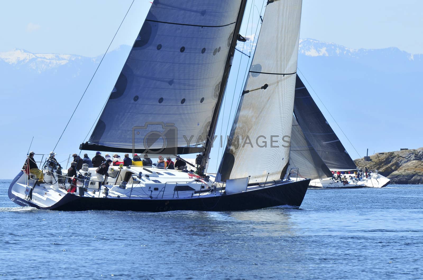 Royalty free image of Sailboat Racing by cestes001