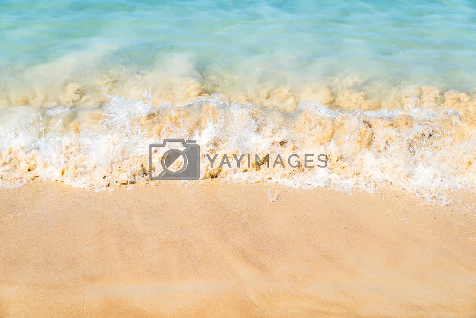 Royalty free image of Sea wave on beach by vichie81