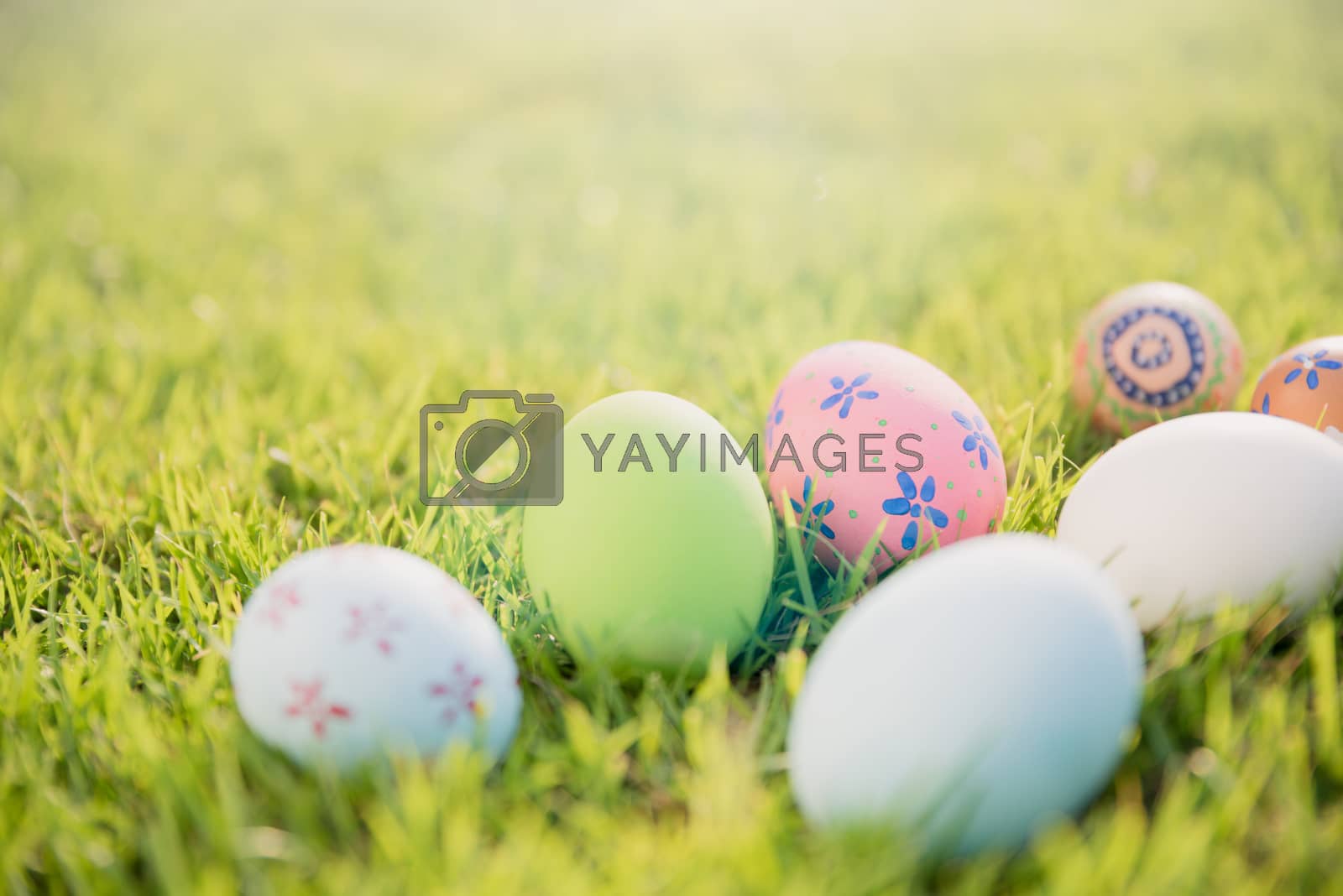 Royalty free image of Happy easter!  Closeup Colorful Easter eggs on green grass field by spukkato