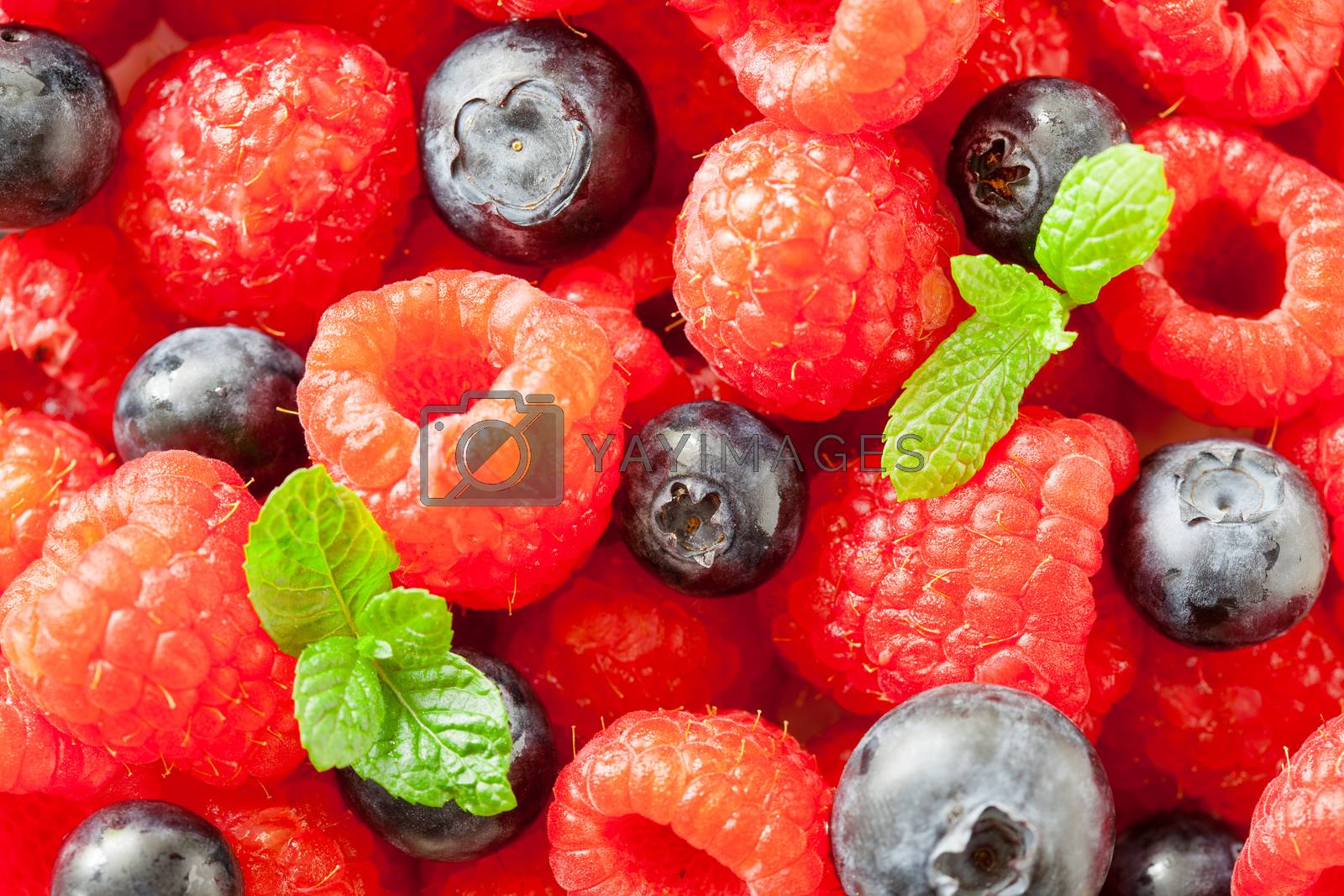 Royalty free image of Raspberries And Blueberries by mpessaris