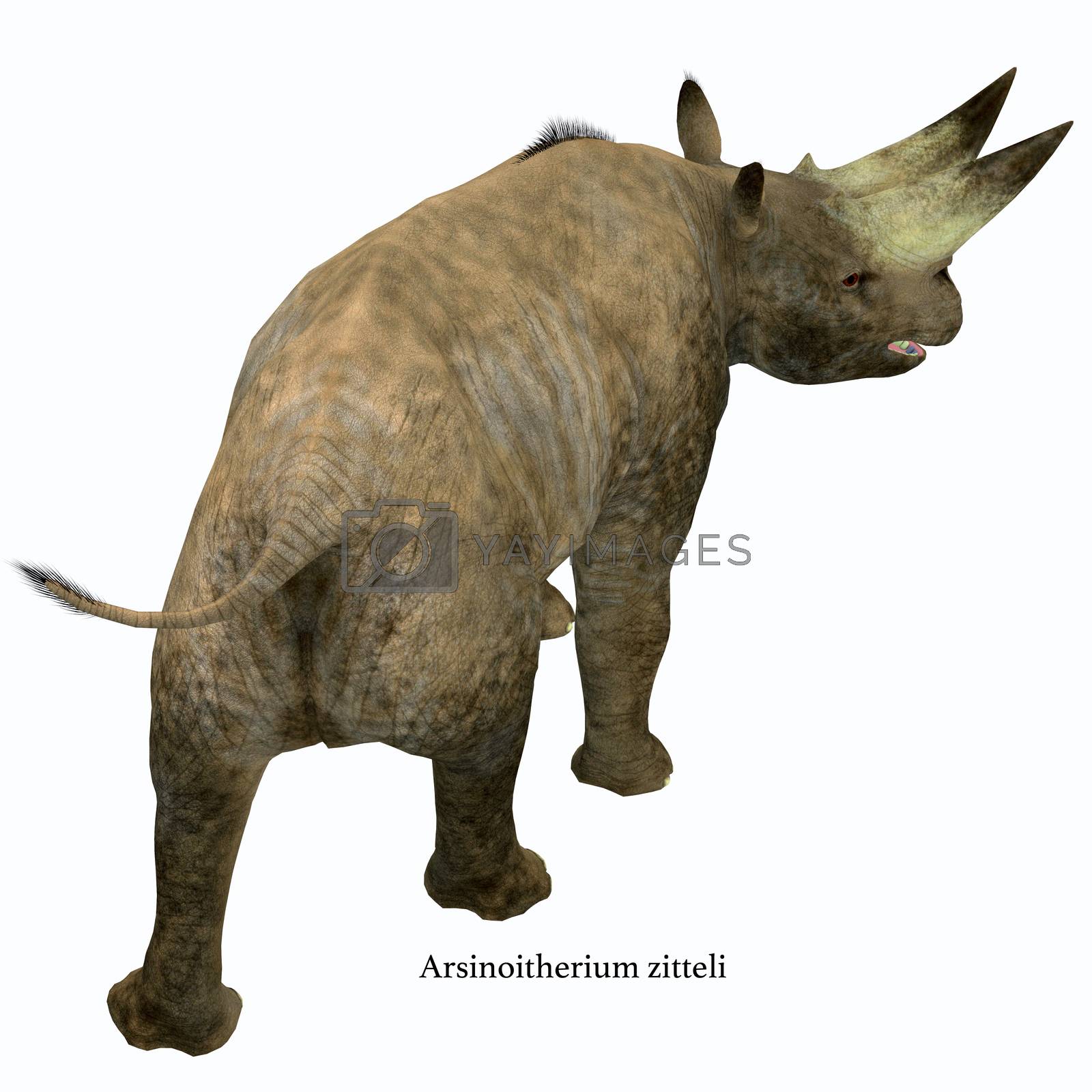 Royalty free image of Arsinoitherium Mammal Tail by Catmando