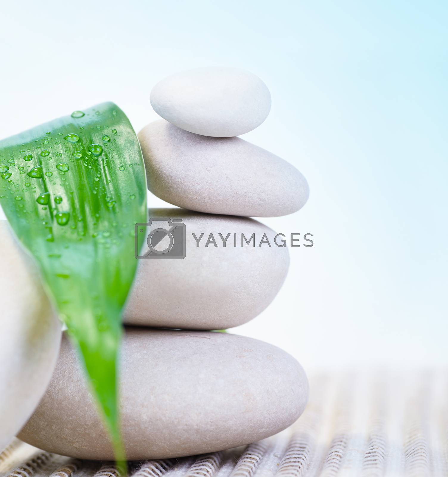 Beautiful still life of spa stones with fresh green leaf on the beach, relaxation on spa resort, meditation and zen balance concept