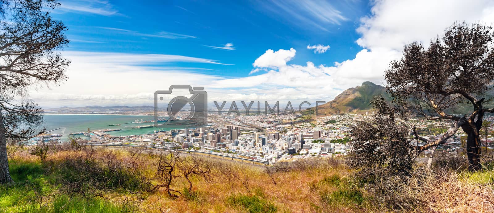 Royalty free image of Panoramic view of the Cape Town by Anna_Omelchenko