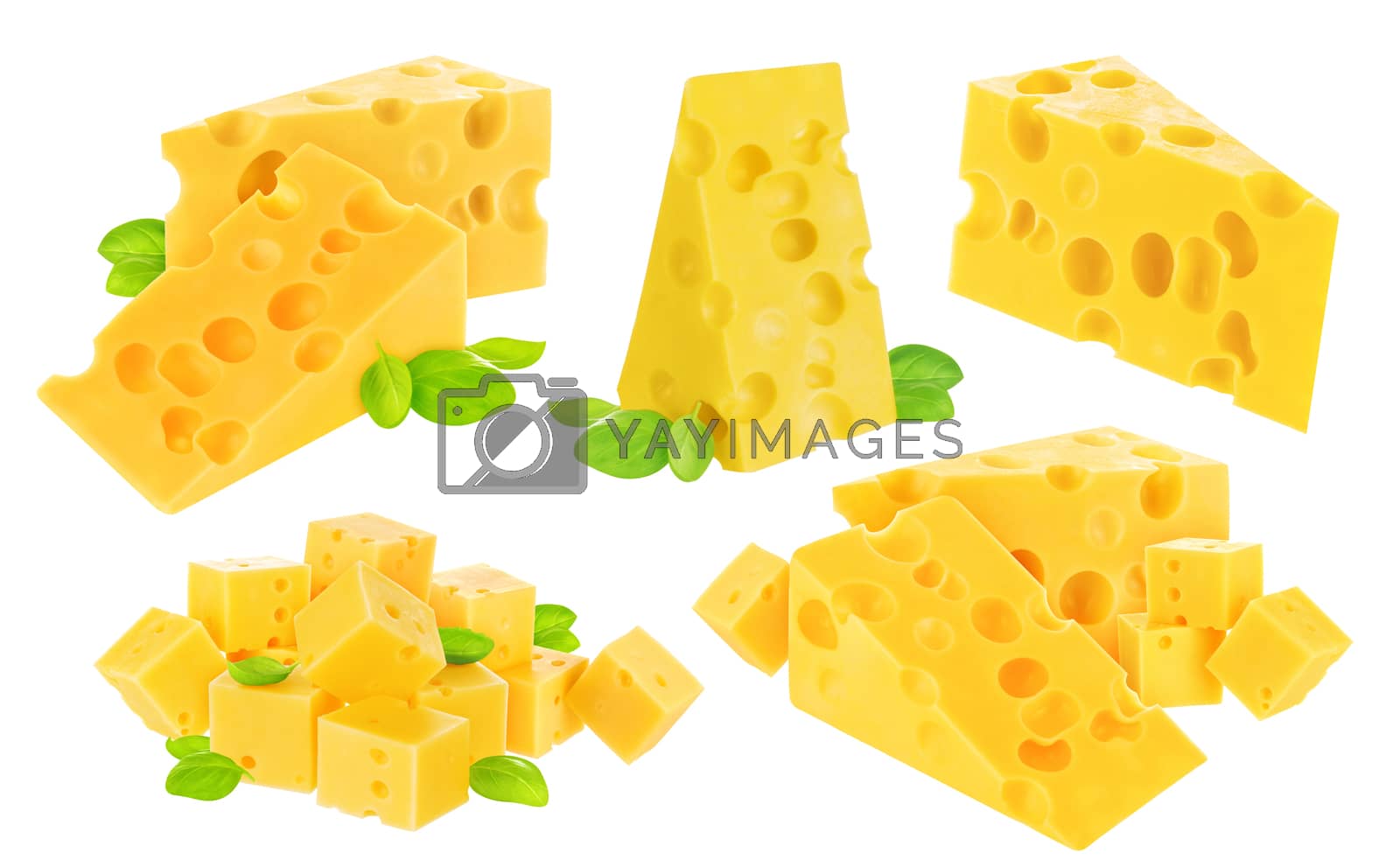 Royalty free image of Cheese isolated on white background. Collection by xamtiw