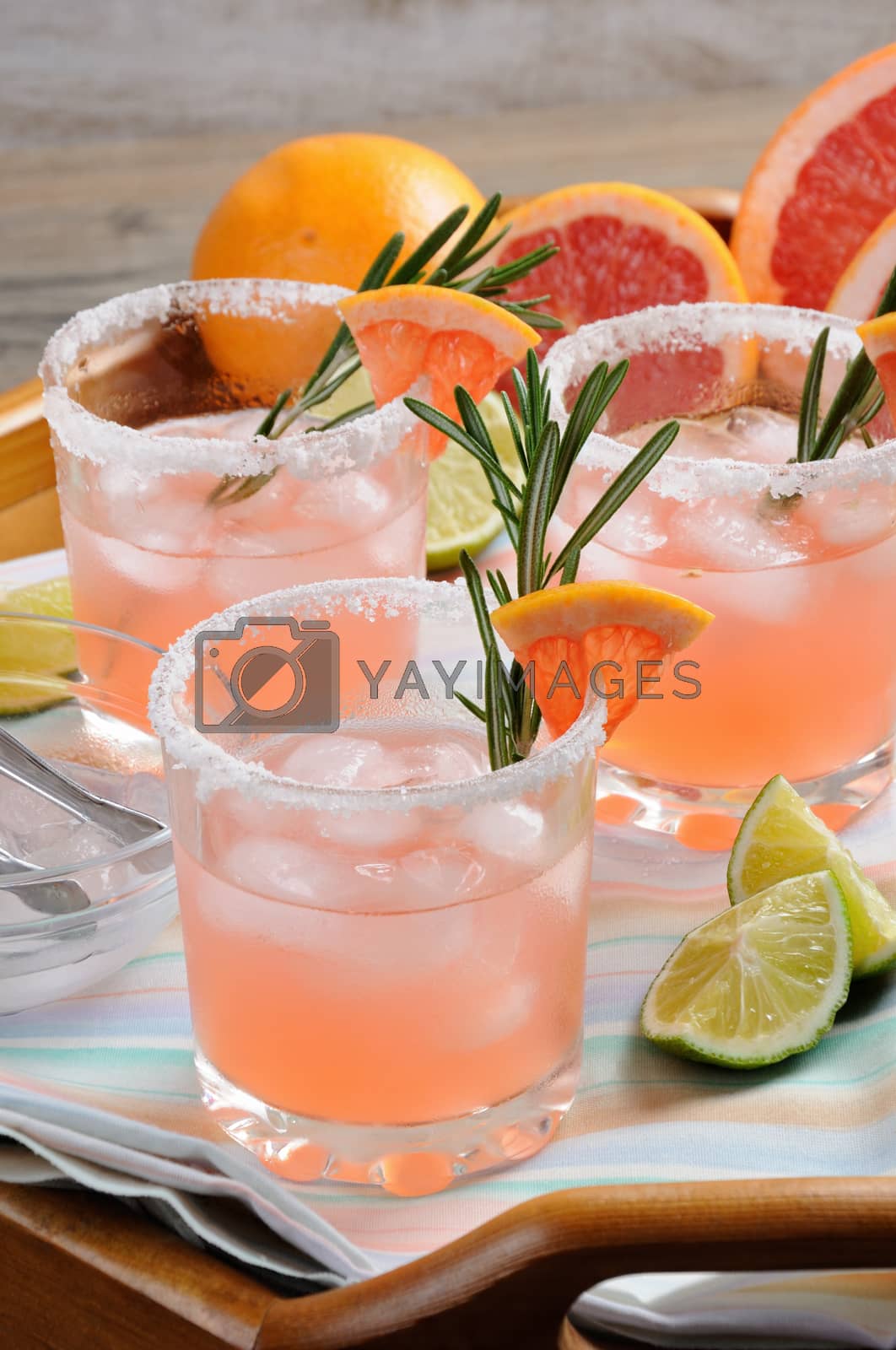 Royalty free image of cocktail sparkling    pink Paloma by Apolonia