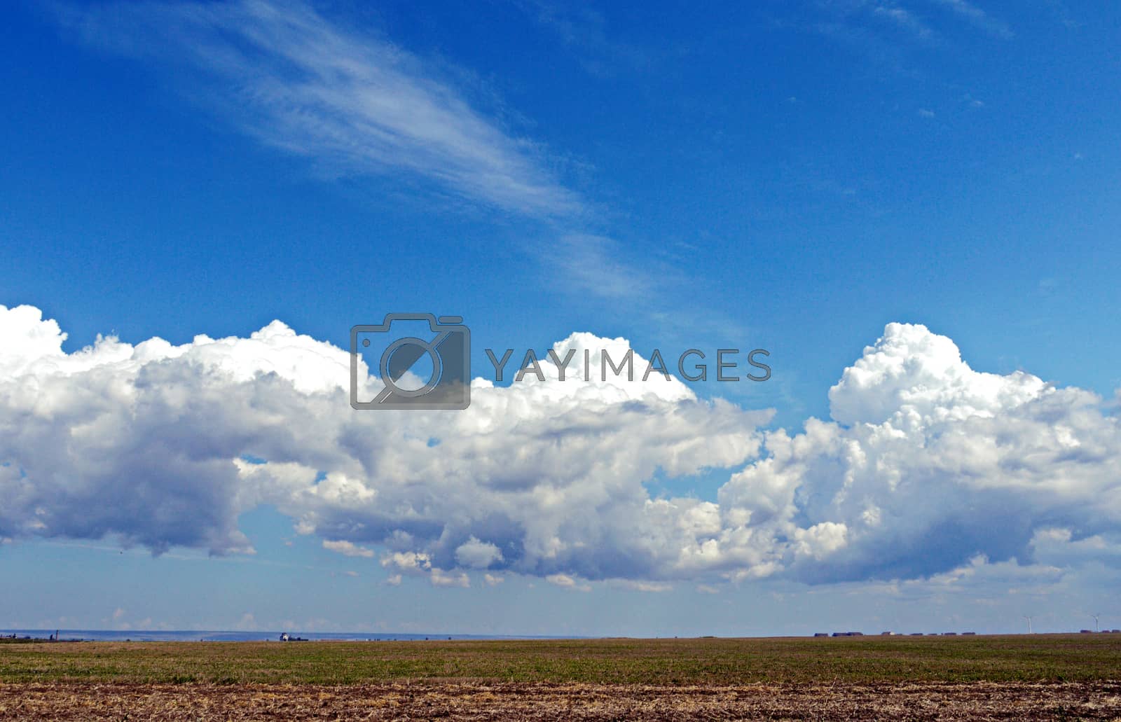 Royalty free image of Magnificent landscape of the spring field stretching into the distance with low hanging dense white clouds. Beautiful picture of a spring day. by Adamchuk