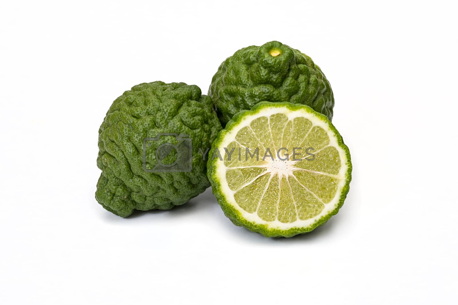 Royalty free image of Bergamot fruit kaffir limes on a white background
 by praethip