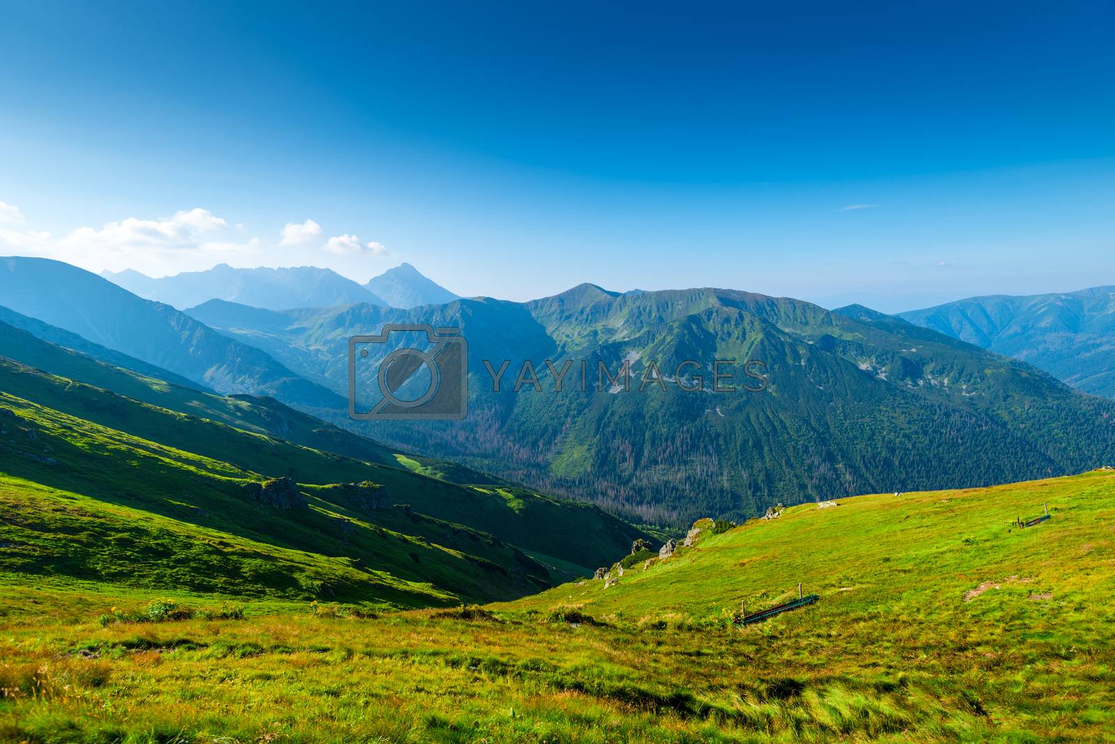 Royalty free image of beautiful green mountain on a sunny summer day at dawn - the Tat by kosmsos111