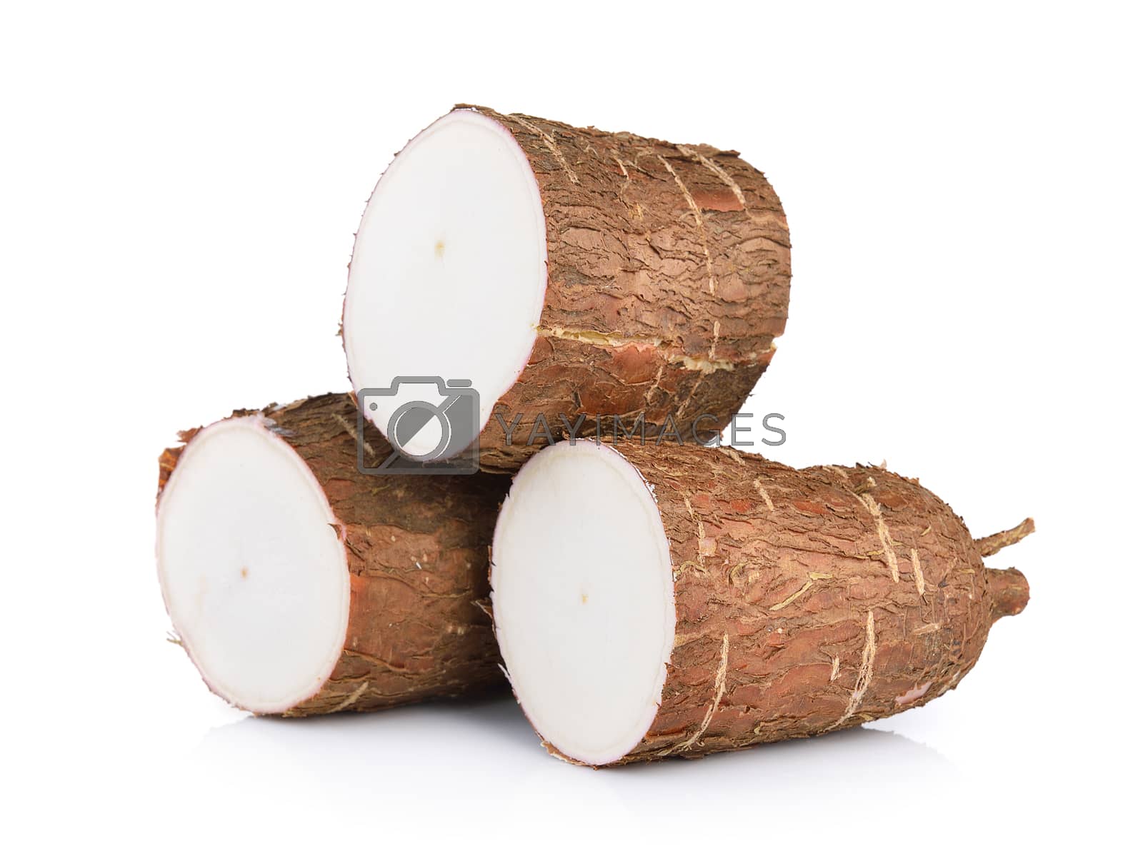 Royalty free image of Cassava isolated on a white background by sommai