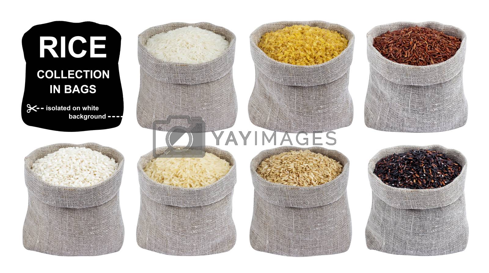 Royalty free image of Rice collection isolated on white background. Different types of rice in bags. by xamtiw