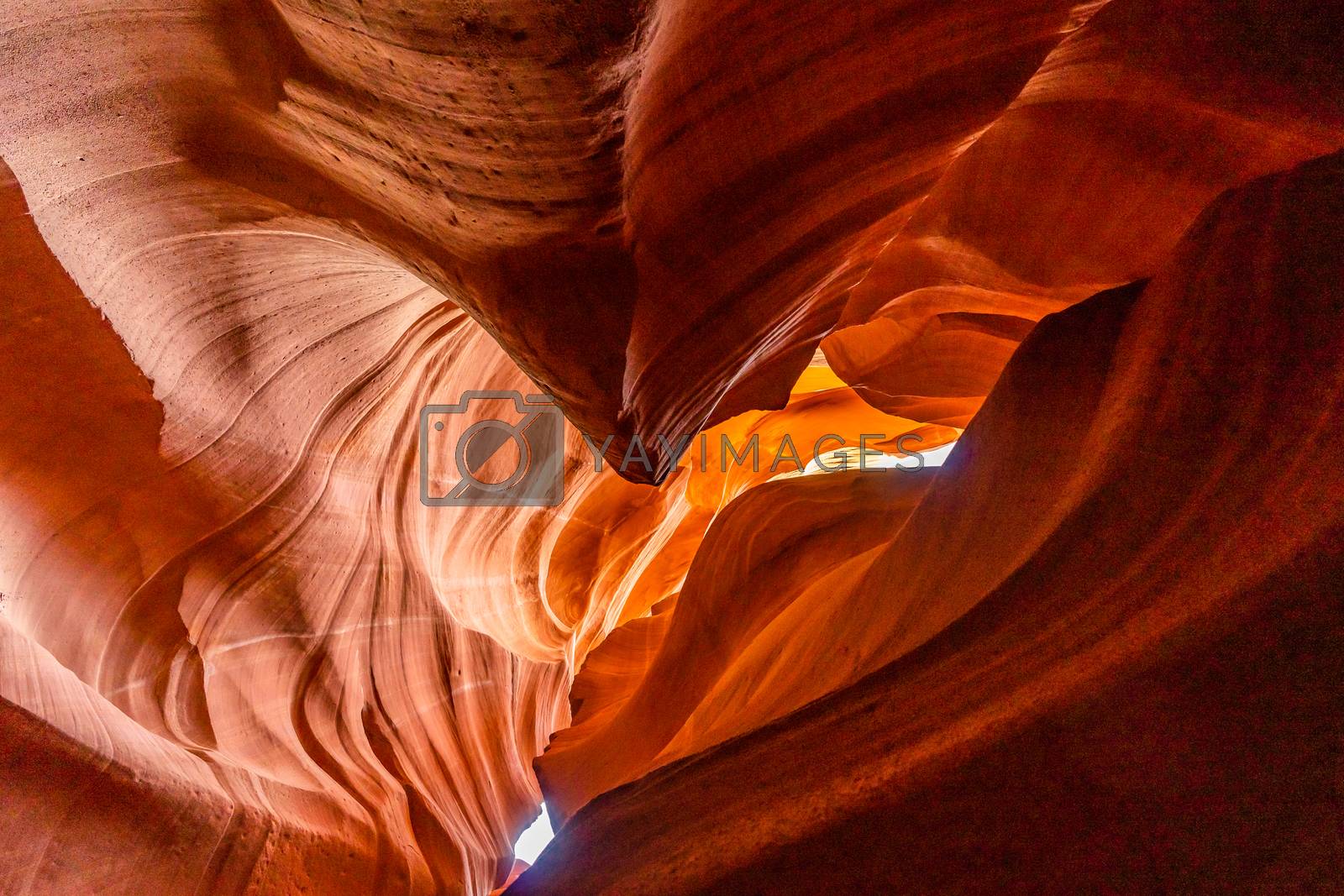 Royalty free image of Lower Antelope Canyon by vichie81
