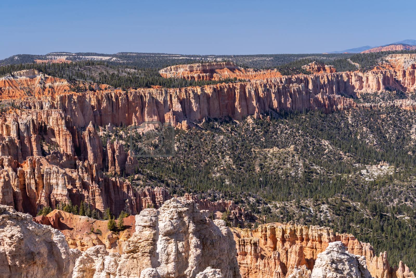 Royalty free image of Bryce Canyon National Park, Utah USA by vichie81