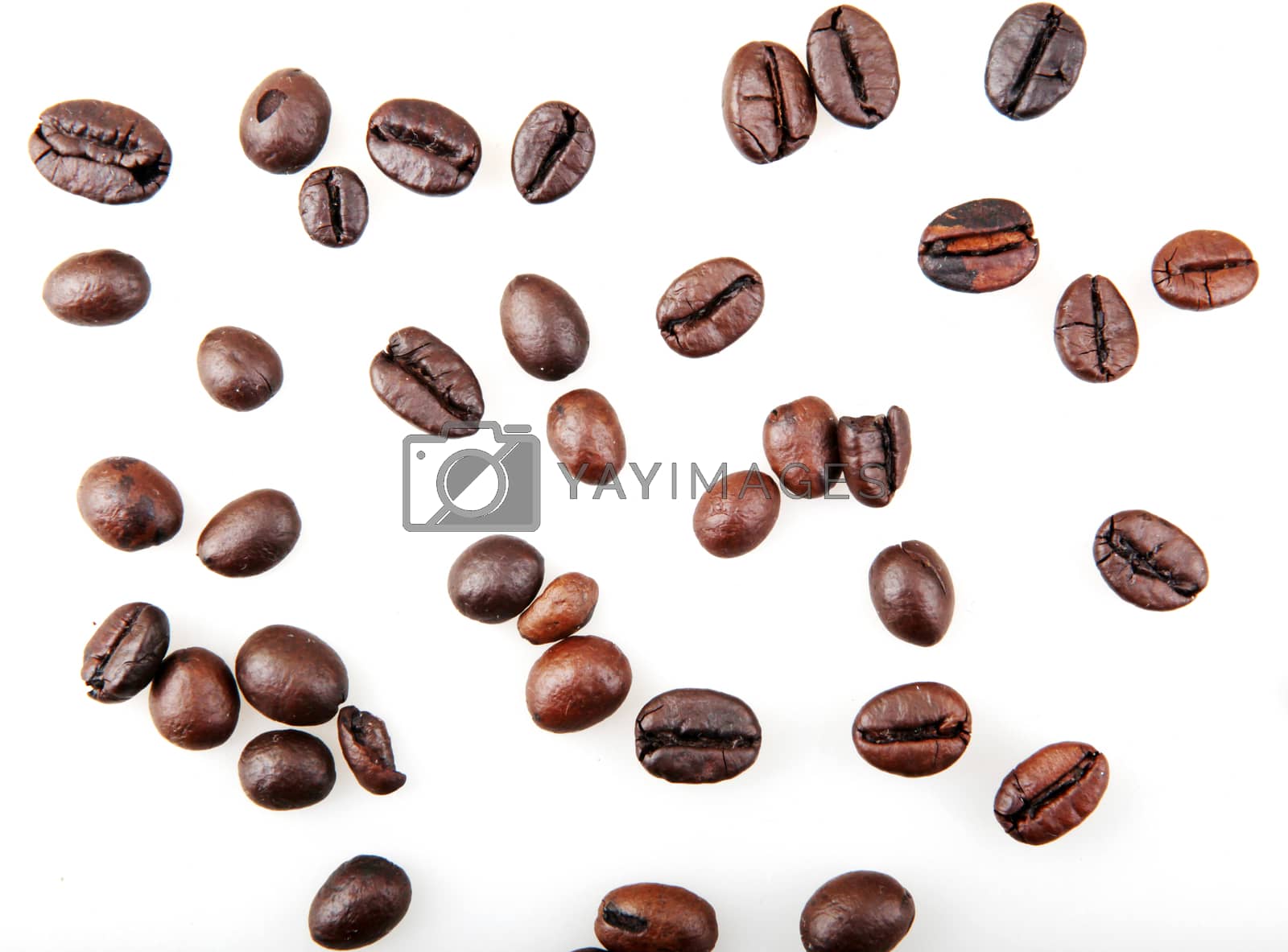 Royalty free image of Coffee Beans Isolated On White Background by nenovbrothers