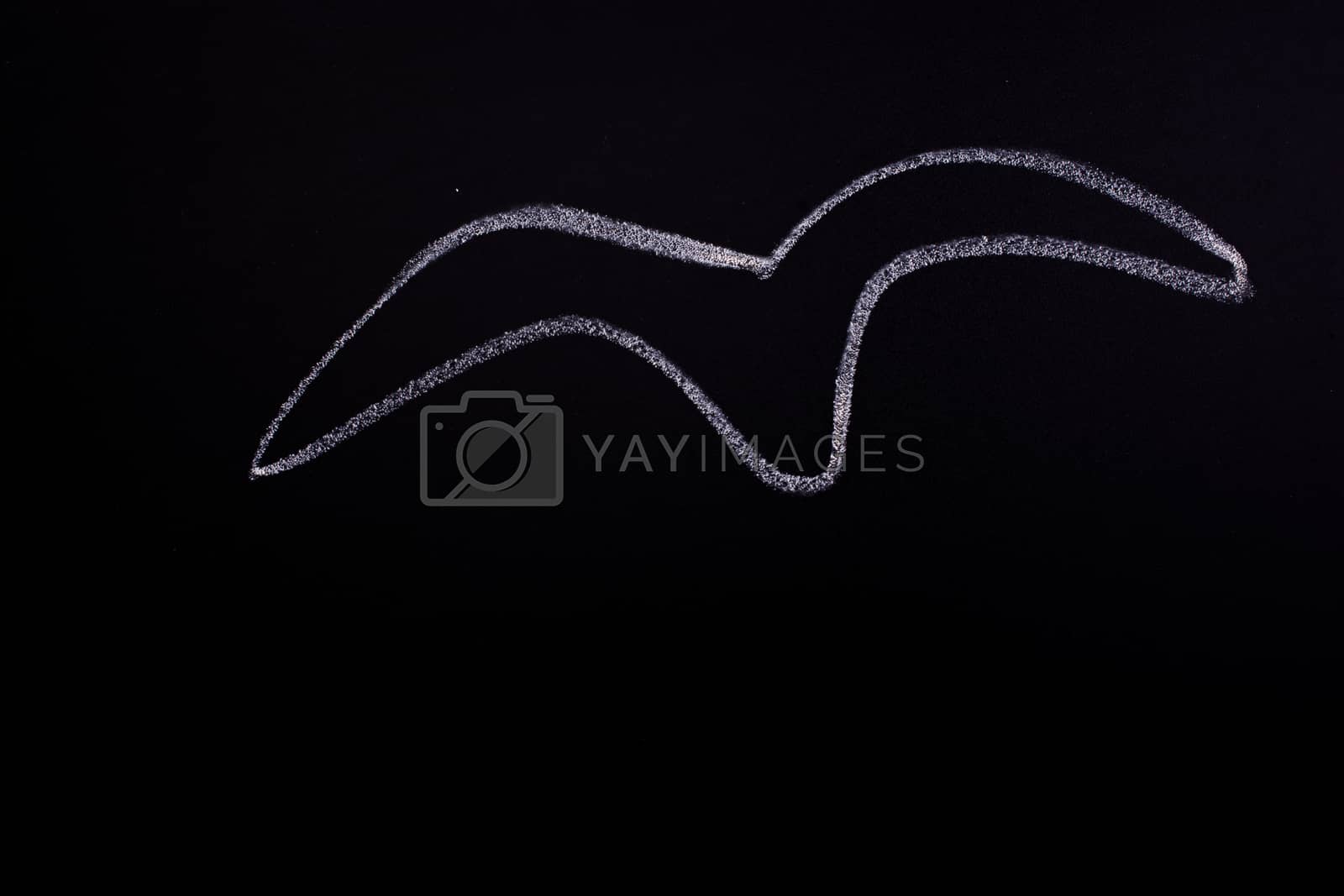 Royalty free image of Chalk drawn bird on blackboard by berkay