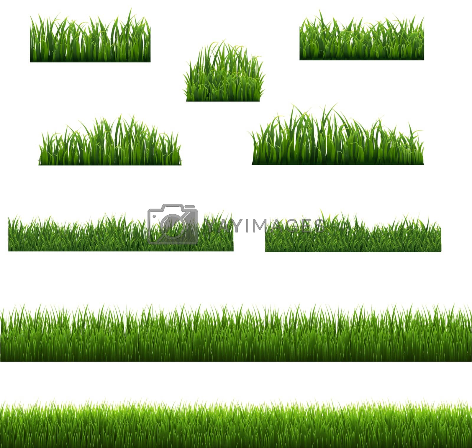 Royalty free image of Big Set Green Grass Borders Background White Background by barbaliss