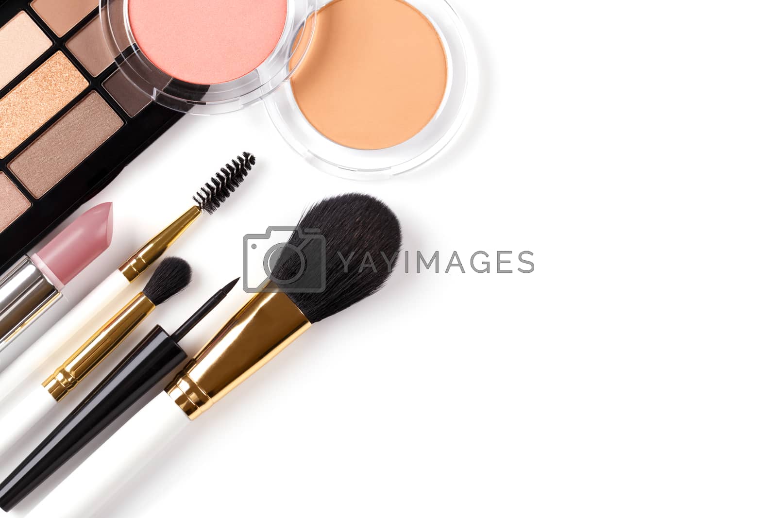 Royalty free image of Professional makeup tools by Lana_M