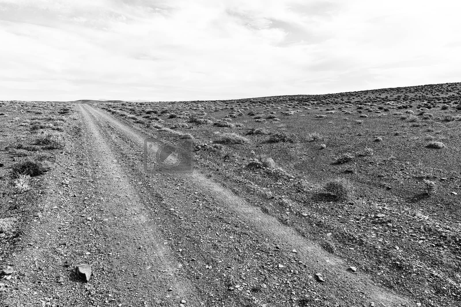 Royalty free image of Badly corrugated gravel road in the Tankwa Karoo. Monochrome by dpreezg