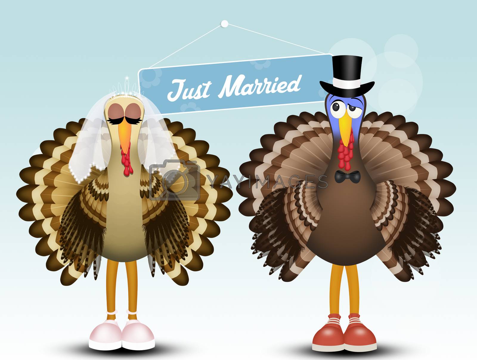 Royalty free image of turkeys spouses by adrenalina