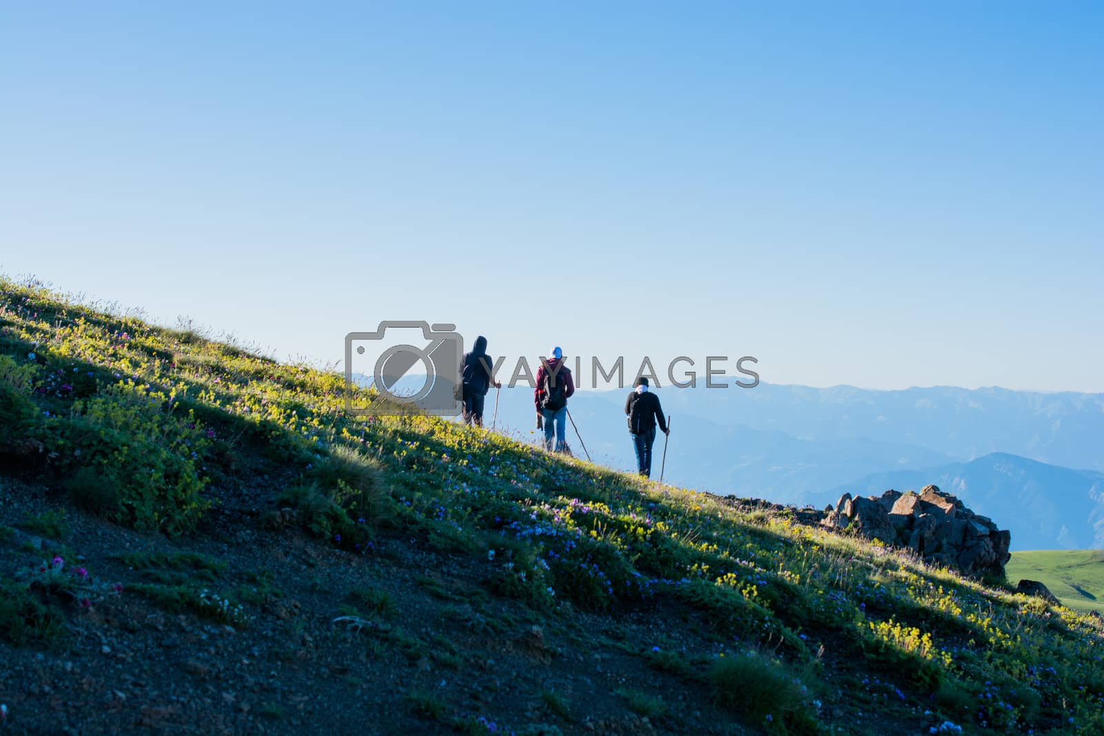 Royalty free image of Friends taking an excursion  by berkay