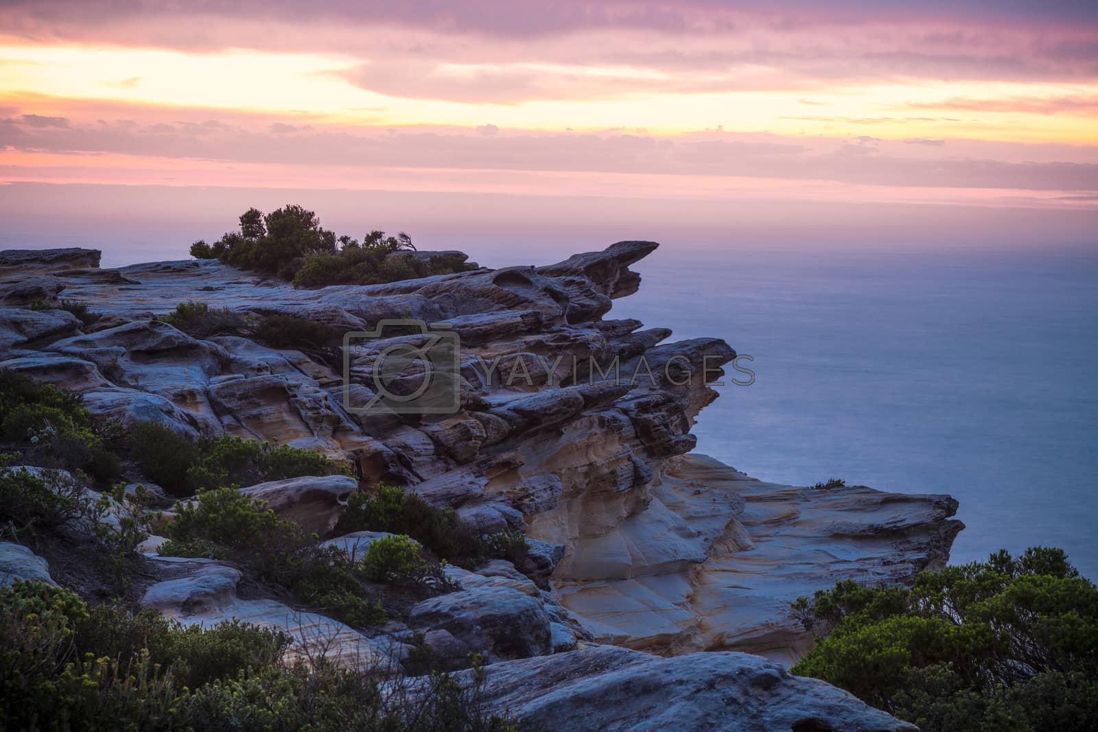 Royalty free image of Dawn skies cliff coast Royal National Park by lovleah