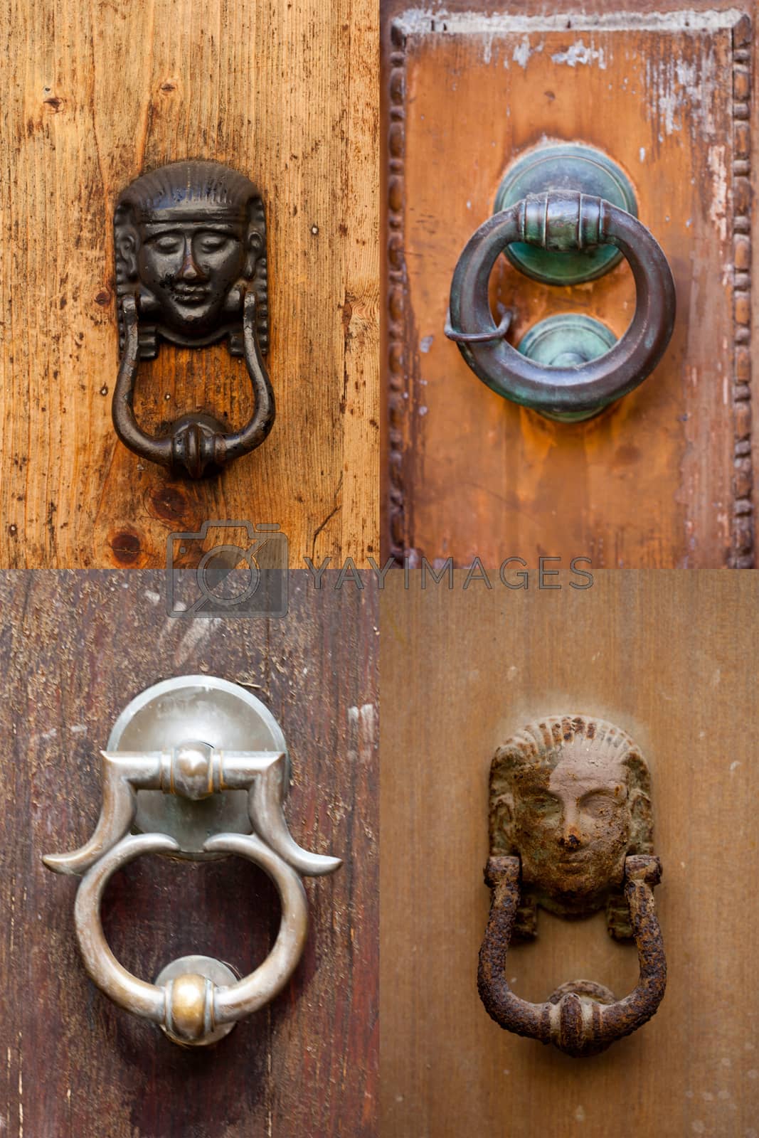 Royalty free image of Ancient italian door knockers. by marylooo